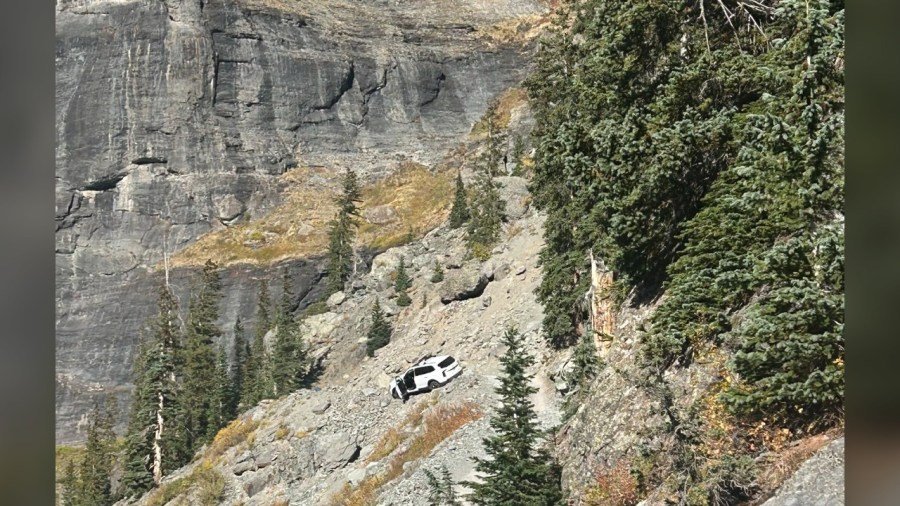 Transisi beruang hitam ditutup tanpa henti setelah pengemudi Carolina Selatan mengabaikan peringatan