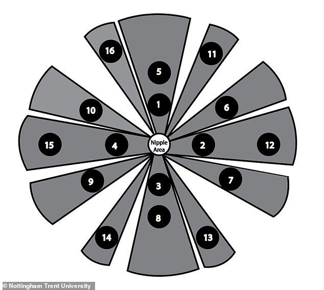 Bisakah bra benar-benar mendeteksi kanker payudara? Sebuah perangkat “pintar” yang dikembangkan oleh para ilmuwan Inggris dapat mendeteksi penyakit tersebut pada sekelompok wanita tertentu