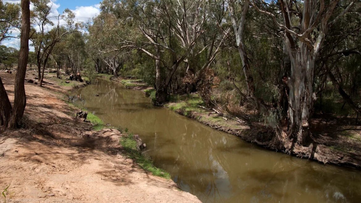 “Ini membawa dirinya pada petualangan nyata”