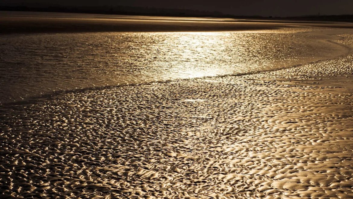 “Kami merasa kami sedang berjuang untuk kalah”