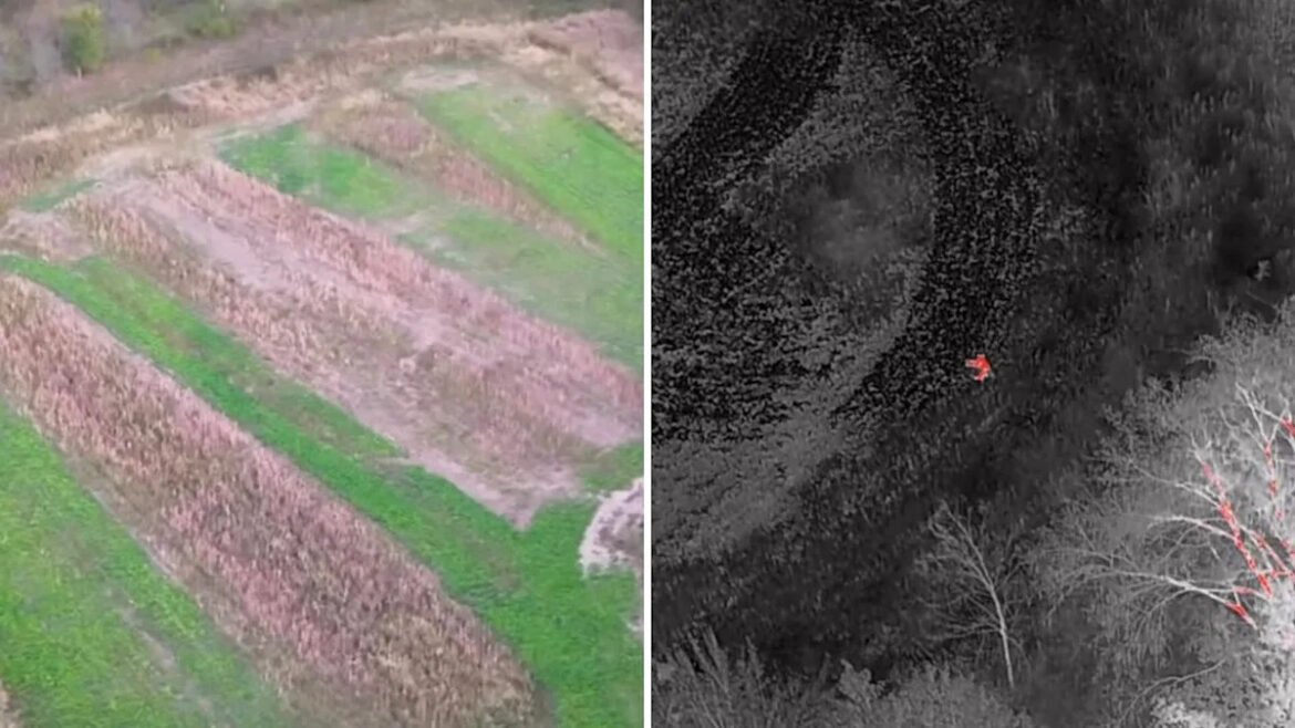 “Menyaksikan hal yang paling menakjubkan”