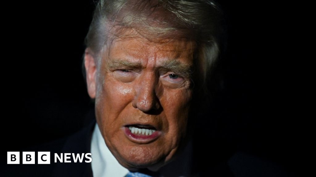 Trump mendesak anggota DPR dari Partai Republik untuk memilih untuk merilis file Epstein