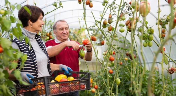 Orang Amerika yang lebih tua harus merencanakan masa pensiun dengan HSA enam digit, menurut seorang ahli. Namun hanya sedikit yang menyadari “potensi penuh” dari akun ini.