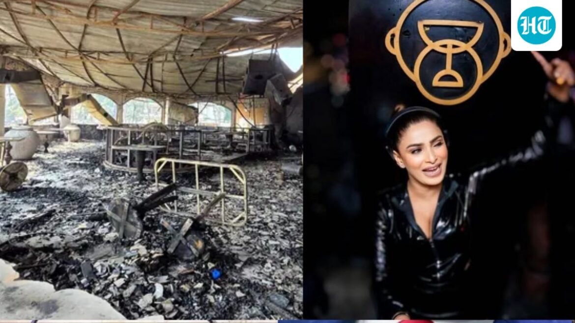 ‘Saya sedang dalam perjalanan’: DJ telanjang Nicky akan tampil di klub malam Goa