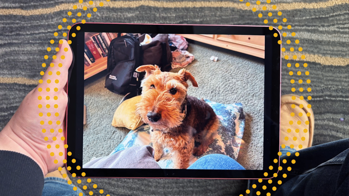 dengan cepat! iPad terbaru Apple turun ke rekor terendah $274 untuk Cyber ​​​​Monday